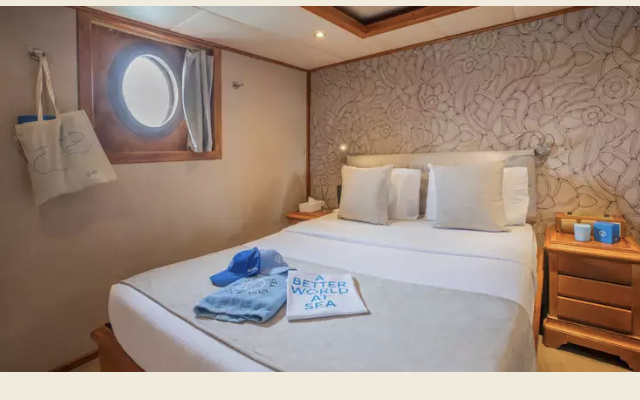 Category A cabin on M/S Galileo - Upper Deck with window